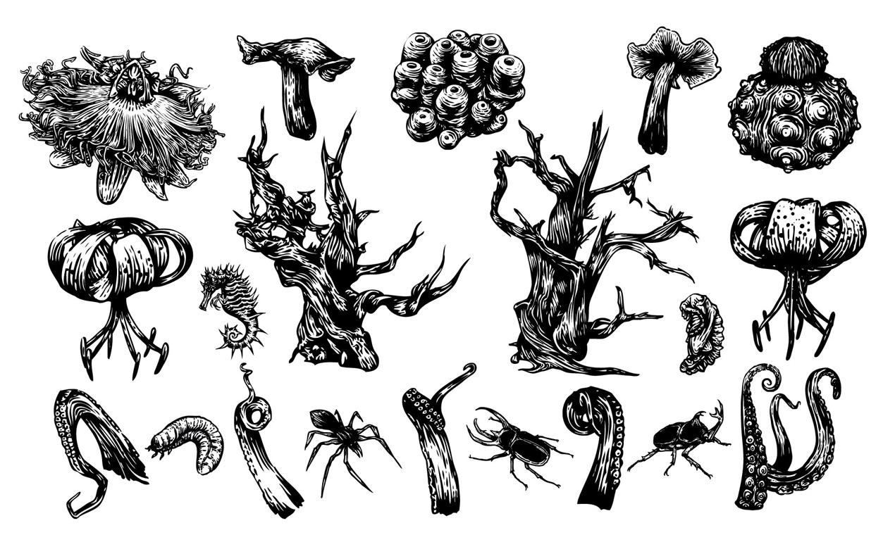 1270x770 Black Forest Vector Pack