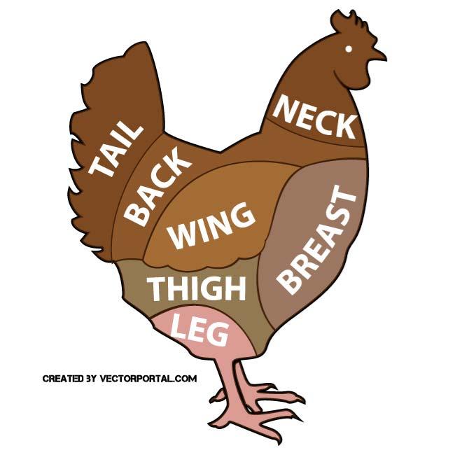 660x660 Chicken Parts Vector Illustration By Vectorportal