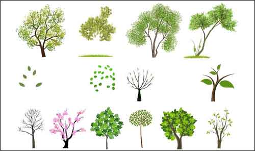 500x296 Tree Vector Free Editable Illustrations To Download