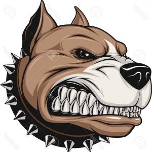 300x300 Photostock Vector Pitbull Head And Oak Wreath Vector Logo