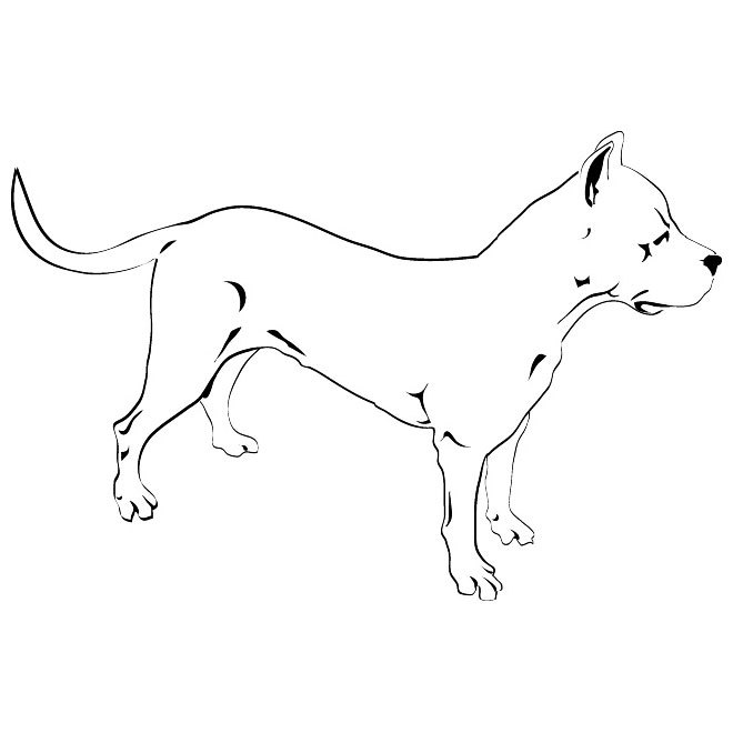 660x660 Pitbull Dog Free Vector 123freevectors