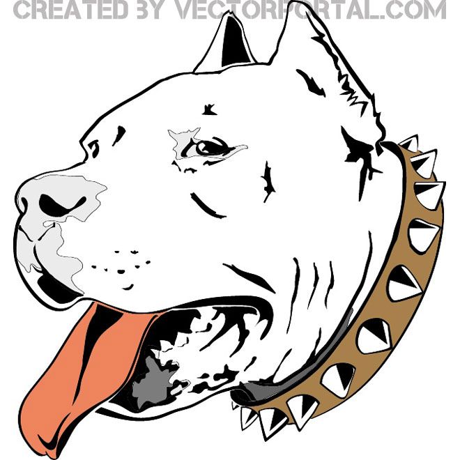 660x660 Pitbull Head Free Vector Free Vectors Pit Bull Art