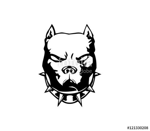 500x435 Pitbull Stock Image And Royalty Free Vector Files On