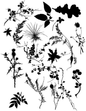 288x368 Illustrator Vector Plants Silhouette Free Vector Download (220,806