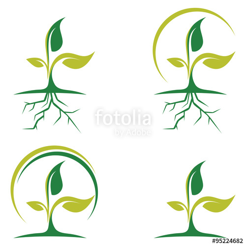 500x500 Leaf And Root Of Green Plant Logo Icon Stock Image And Royalty