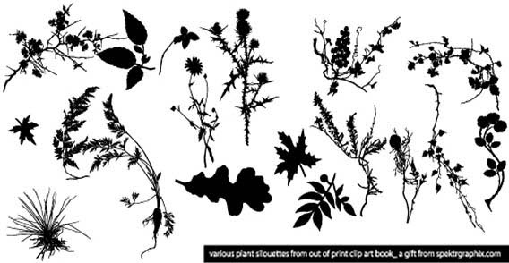 568x294 Plant Silhouettes Vector Free Vector In Adobe Illustrator Ai ( .ai