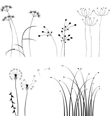 380x400 Collection For Designers Plant Vector Plants