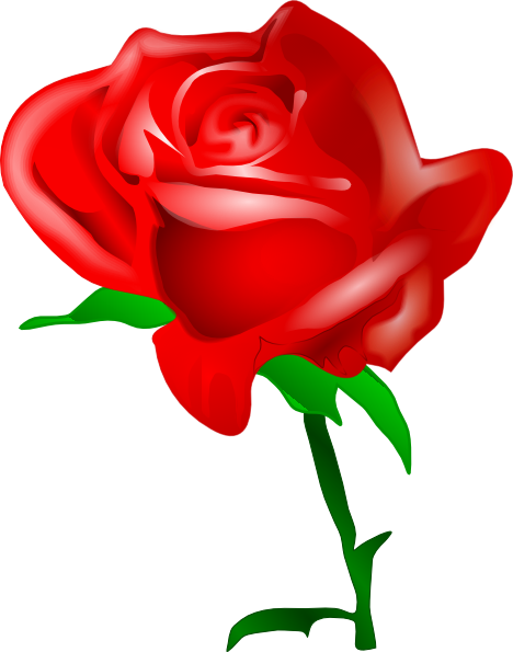 468x595 Red Rose Clip Art Free Vector 4vector