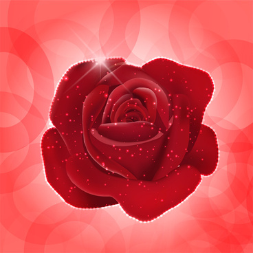 368x368 Red Rose Free Vector Download (7,468 Free Vector) For Commercial