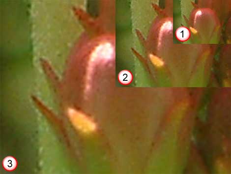 470x353 Bitmaps And Vector Graphics