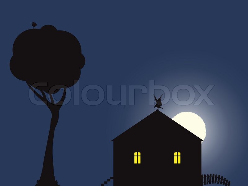 800x600 Night Scene With House, Birds And Moon Abstract Vector Art