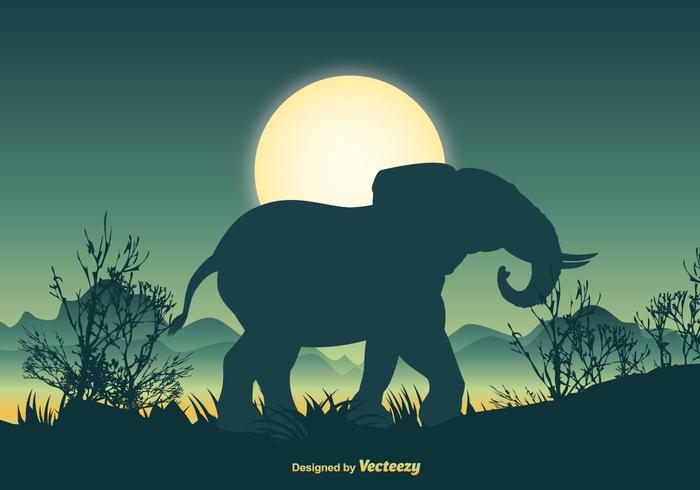 700x490 Elephant Silhouette Scene