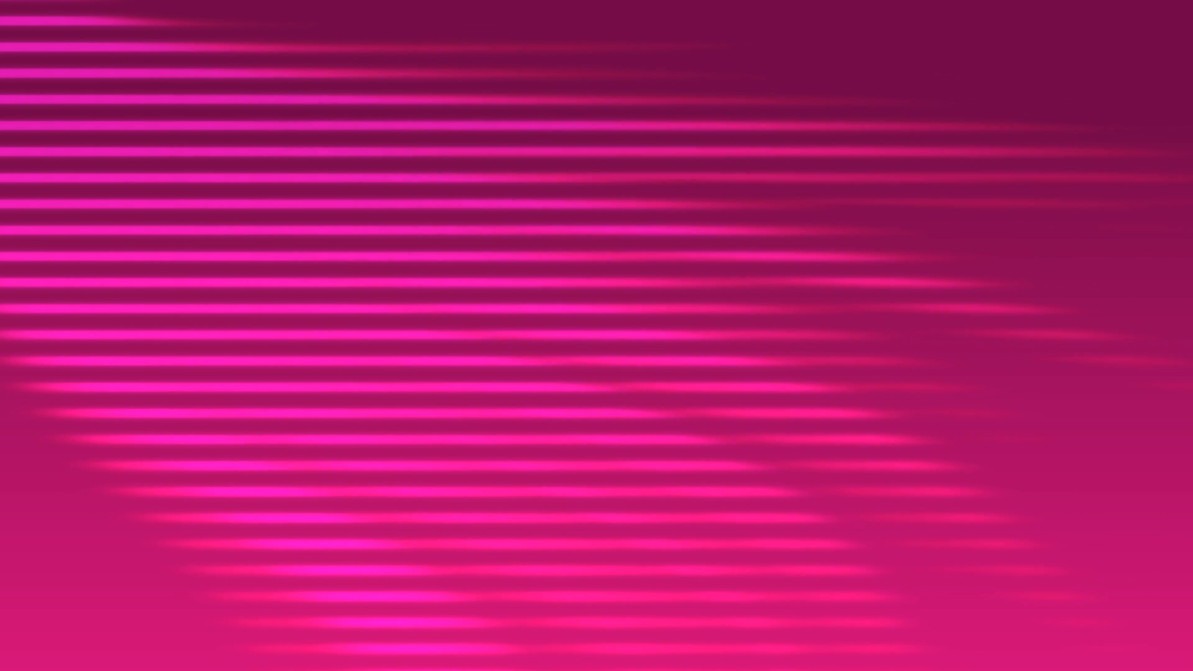 3840x2160 Pink Horizontal Vector Lines Flow Down The Screen Creating A
