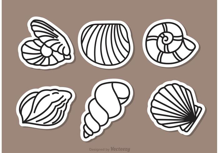 700x490 Sea Shell Outline Icons Vector