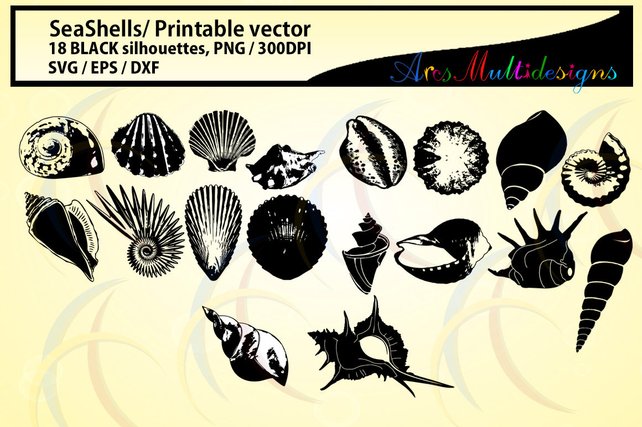 642x427 Seashells Silhouette Sea Shell Svg Eps Dxf Vector Sea Etsy