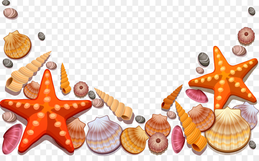 900x560 Seashell Clip Art