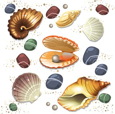 374x368 Seashells Vector Free Vector Download (66 Free Vector) For
