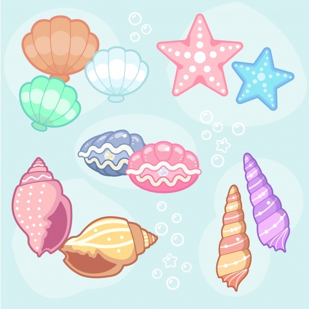 626x626 Shell Vectors, Photos And Psd Files Free Download