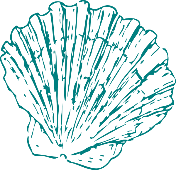 600x581 Collection Of Free Stock Vector Sea Shell. Download On Ubisafe