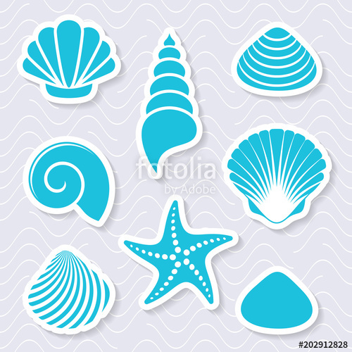 500x500 Simple Vector Sea Shells And Starfish Stock Image And Royalty