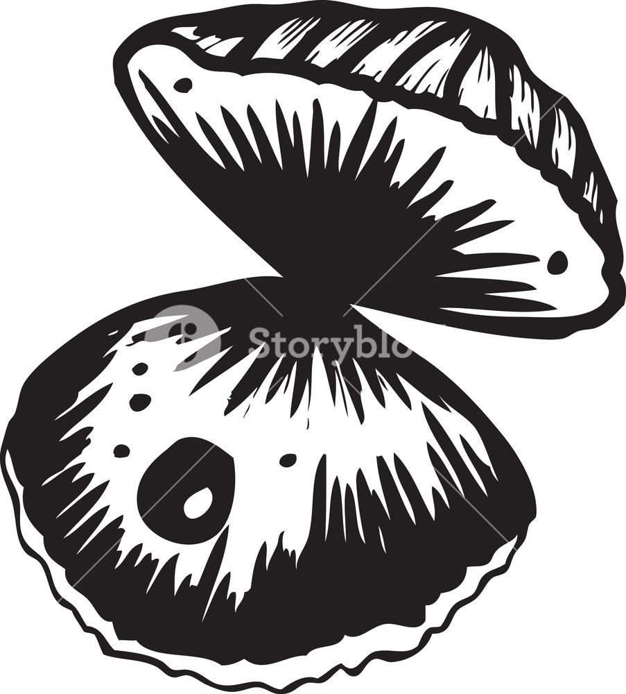 903x1000 Vector Sea Shell Royalty Free Stock Image