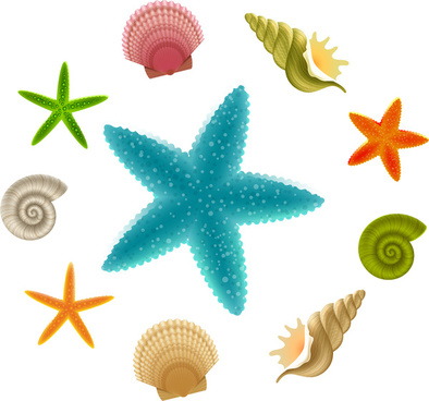 394x368 Vector Seashell Eps Free Vector Download (179,664 Free Vector) For