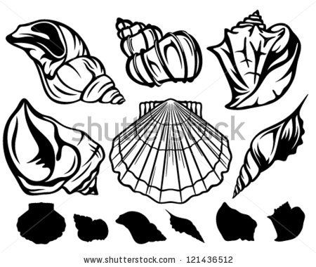 450x380 Set Of Black And White Sea Shells