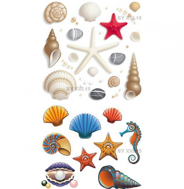 600x616 Lovely Vector Seashell Icon Set