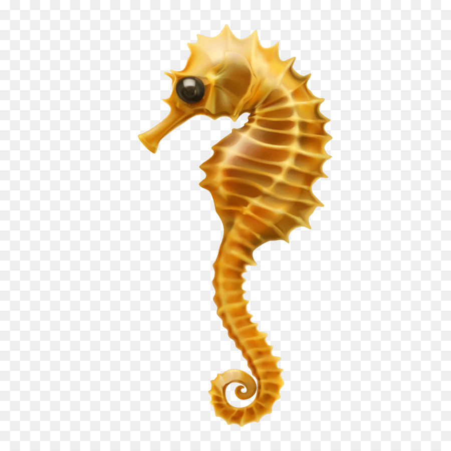 900x900 Seahorse Clip Art