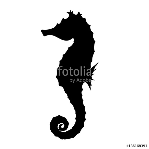 500x500 Seahorse Silhouette Illustration Stock Image And Royalty Free