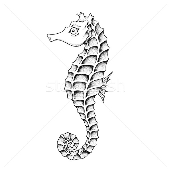 600x600 Seahorse Stock Vectors, Illustrations And Cliparts Stockfresh