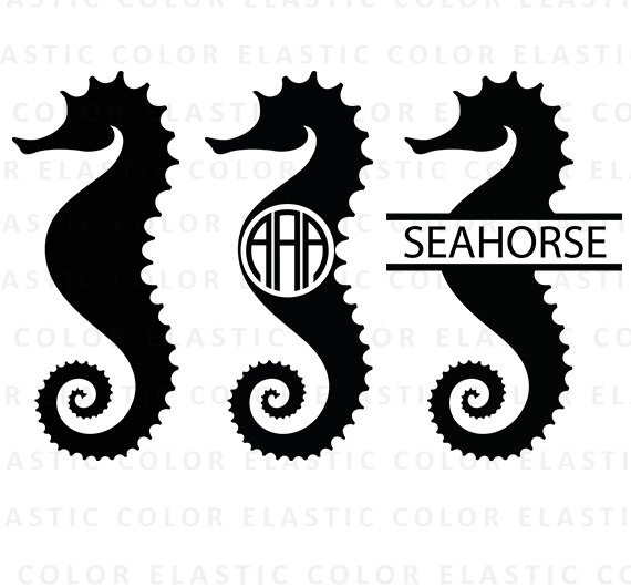 570x530 Seahorse Clipart Monogram ~ Frames ~ Illustrations ~ Hd Images