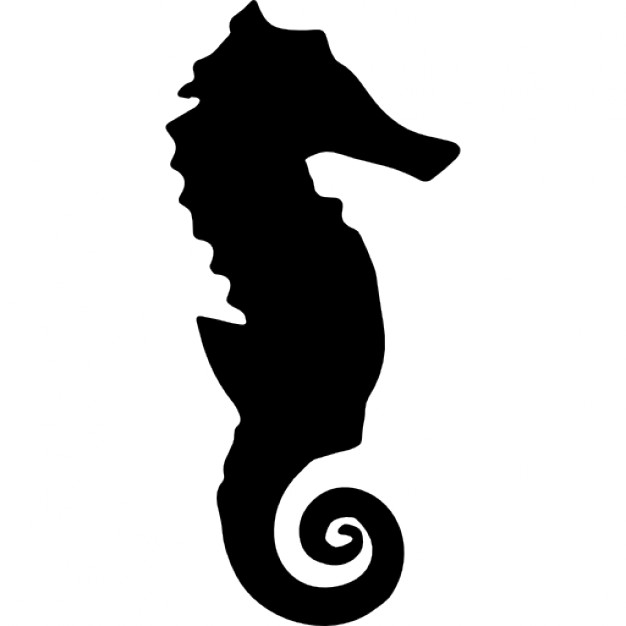 626x626 Seahorse Silhouette Icons Free Download