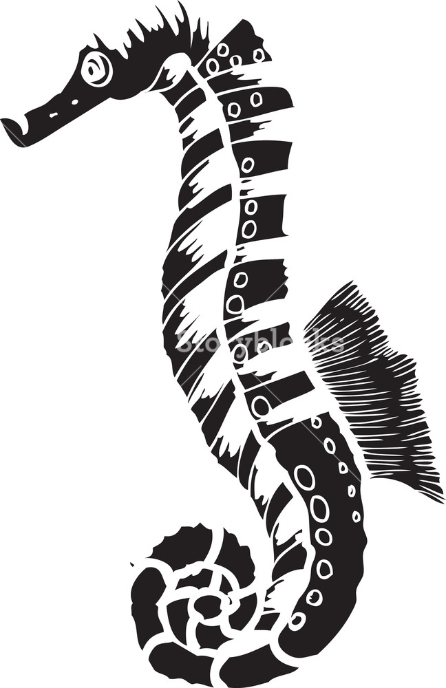 648x1000 Vector Seahorse Royalty Free Stock Image