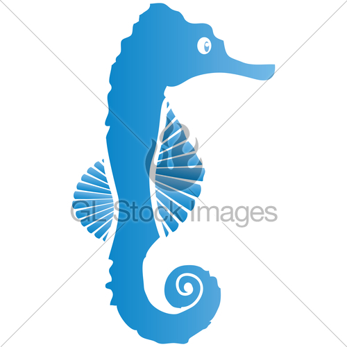 500x500 Vector Seahorse Gl Stock Images