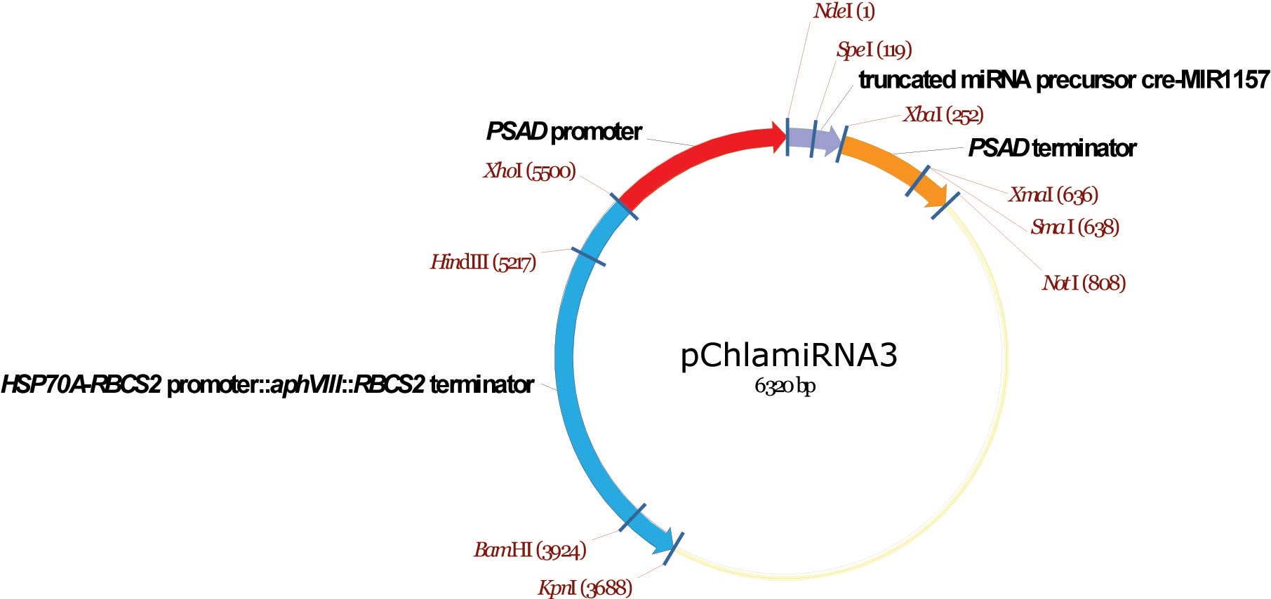 1811x854 Sequence Data Department Of Plant Sciences