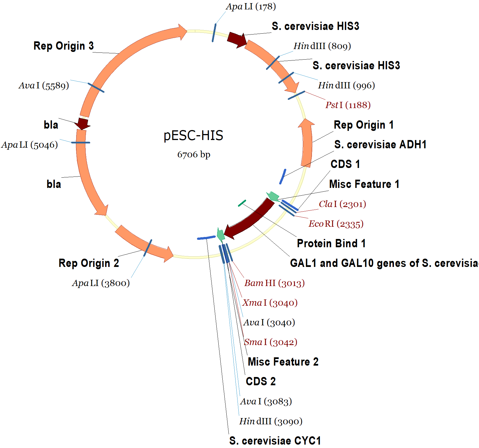 1678x1571 Pesc His Vector Map And Sequence