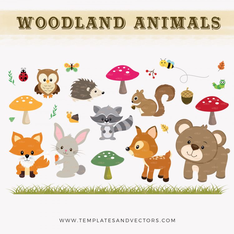 750x750 Woodland Animal Clipart