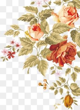 260x356 Hand Painted Flowers Plants,shading,flowers,flowers,fine,hand