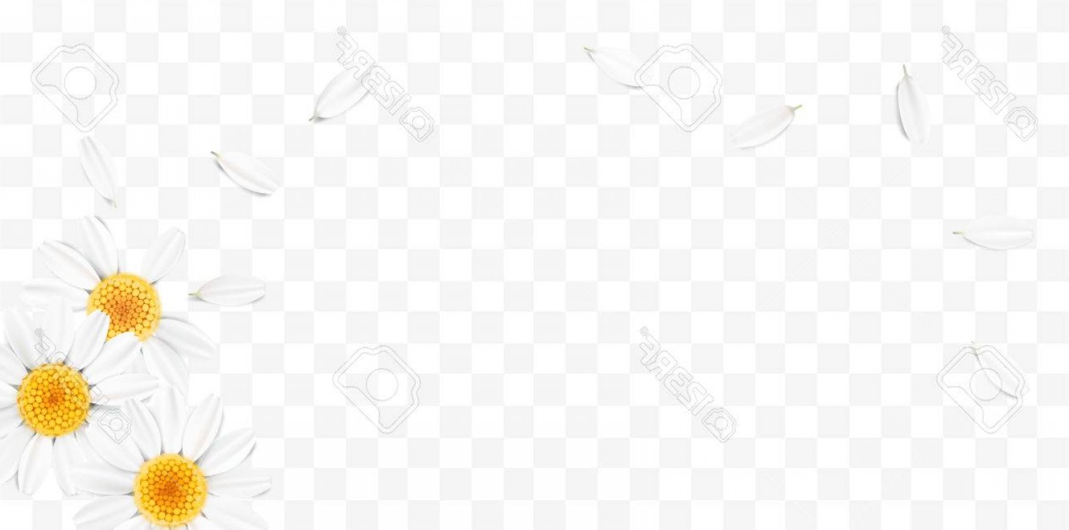 1560x774 Photostock Vector Soft Pastel Color Floral D Illustration On