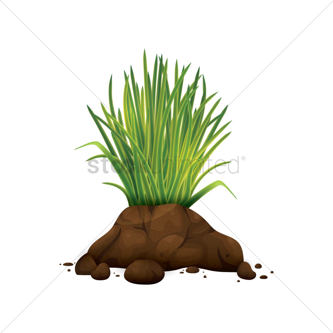 1300x1300 Grass On Soil Vector Image