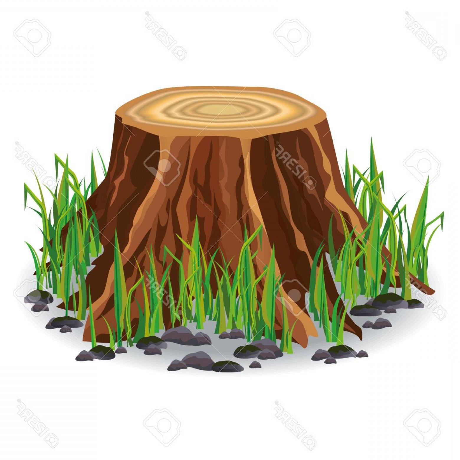 1560x1560 Photostock Vector Realistic Tree Stump With Fresh Green Grass And