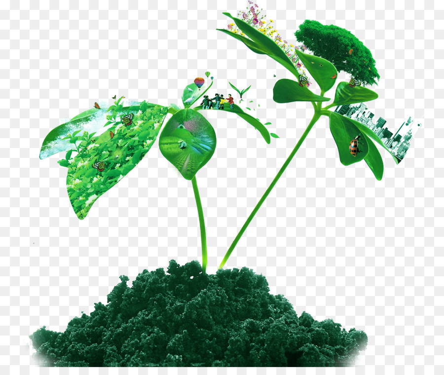 900x760 Soil Euclidean Vector Plant