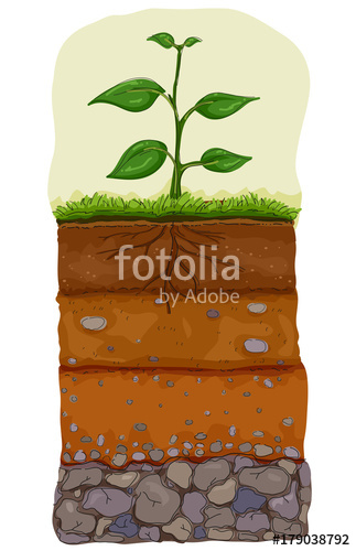 323x500 Soil Layer Illustration Stock Image And Royalty Free Vector Files