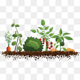 260x260 Soil Vector Png, Vectors, Psd, And Clipart For Free Download Pngtree