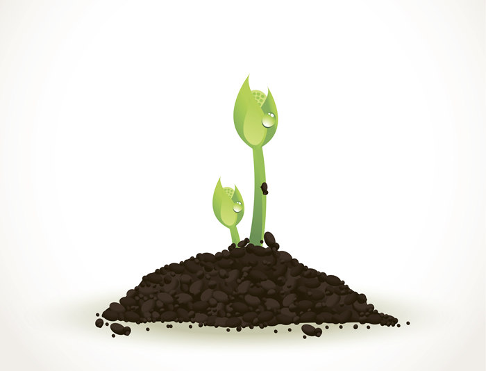 700x534 Soil Tender Shoots Free Vector Graphic Download