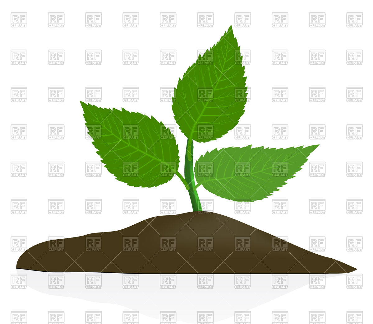 1200x1041 Young Plant In Dark Soil Vector Image Vector Artwork Of Plants