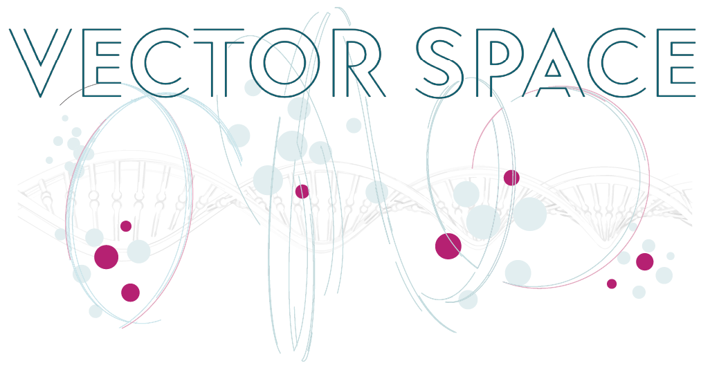 1013x548 Vector Space Blog