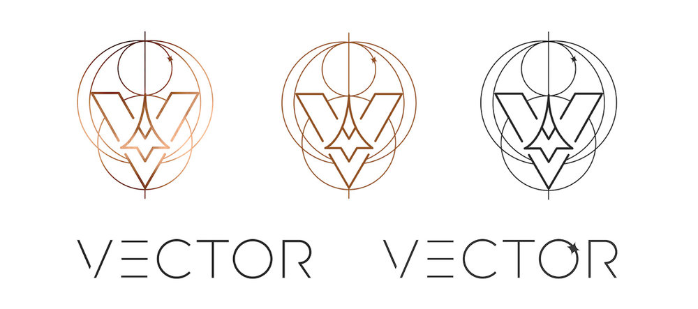 1000x443 Vector Space Systems Stephanie Rusiecki