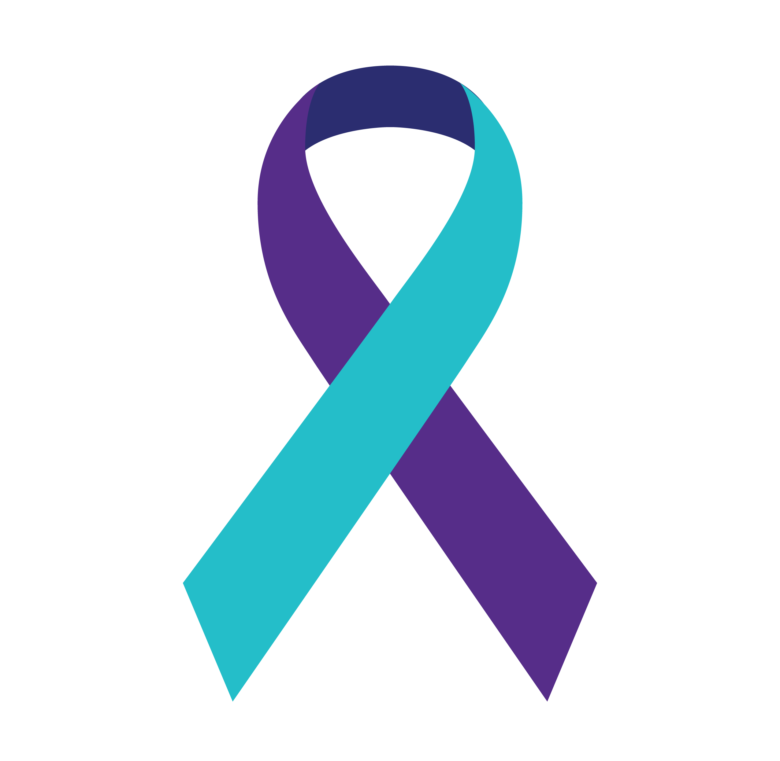 2550x2490 Ribbon Vector